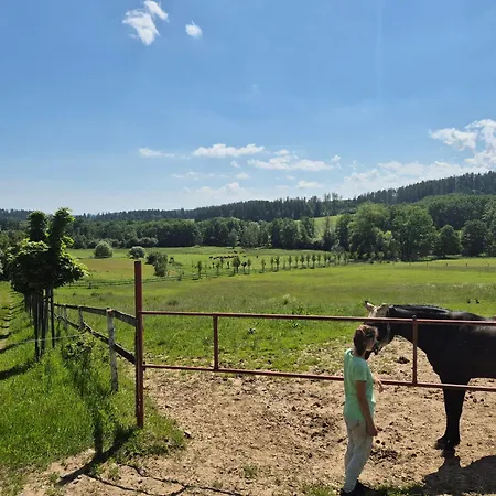 Hotel Hotelovy A Jezdecky Areal Dvur 4*