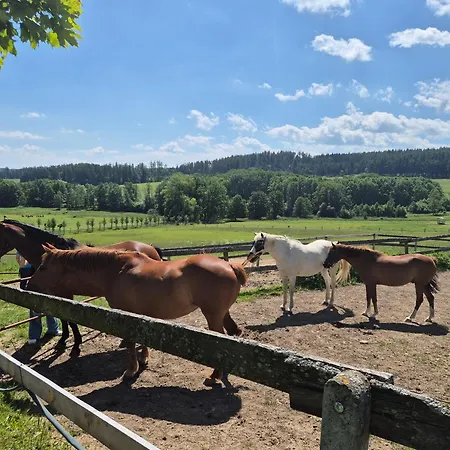 Hotelovy A Jezdecky Areal Dvur 4* Krutenice