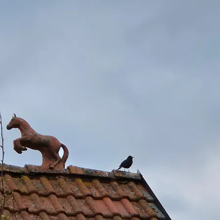 Hotelový A Jezdecký Areál Dvůr 4* Krutenice