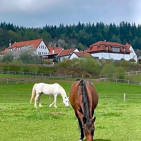 Hotel Hotelovy A Jezdecky Areal Dvur
